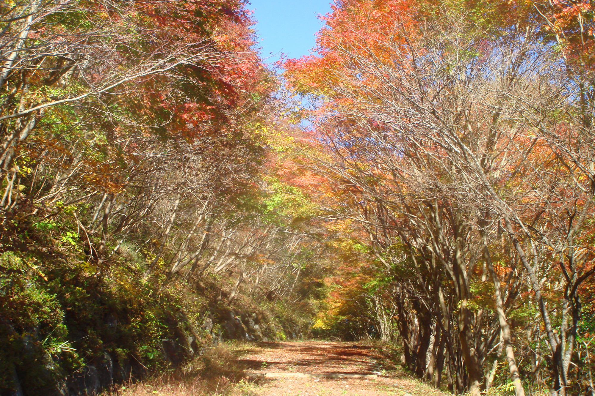 富士山靜養園